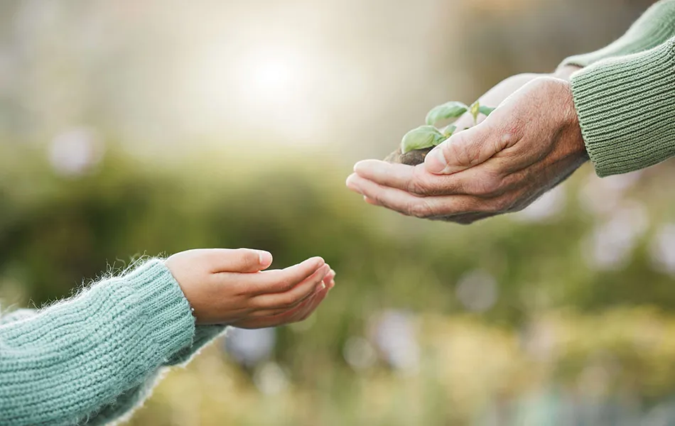 Närbild på två händer – en vuxen överlämnar en liten planta till ett barn, i en grönskande utomhusmiljö.